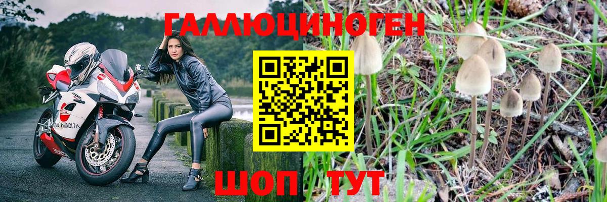 Галлюциногенные грибы прущие грибы Иваново