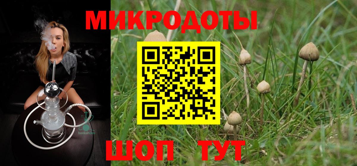 Иваново  Галлюциногенные грибы прущие грибы  Вход с VPN  Галлюциногенные грибы ЛСД 